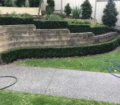 dcd54f_42e01ccd10c54824869d35d1ab6fa816~mv2 Driveway cleaning before