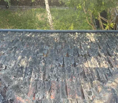 exterior roof clean-ups before