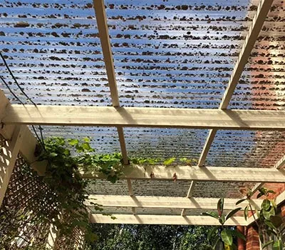 Roof cleaning before image