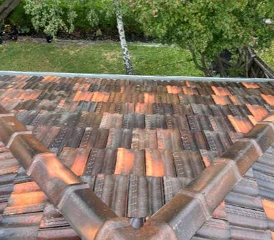 exterior roof clean-ups after