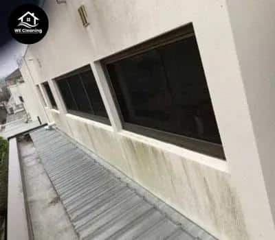 House Façade Cleaning Before