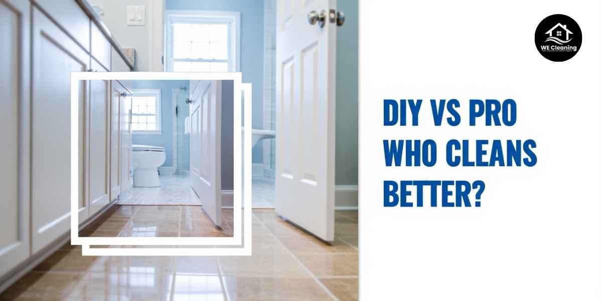 DIY vs. Professional Cleaning