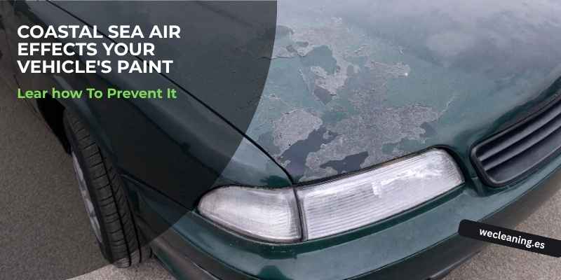 How Coastal Sea Air Affects Your Vehicle's Paint