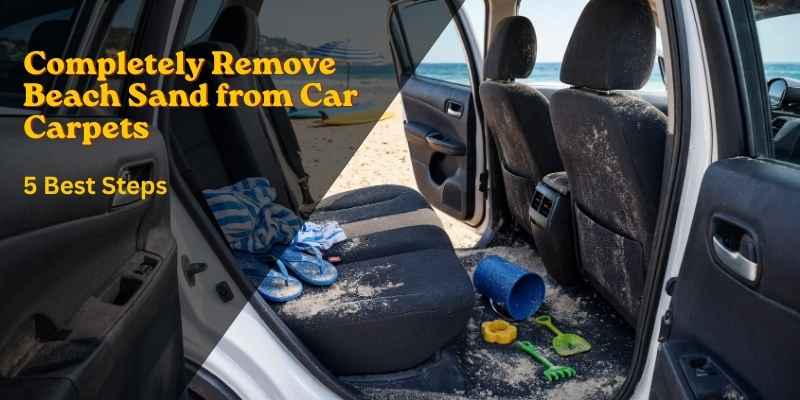 How to Completely Remove Beach Sand from Car Carpets